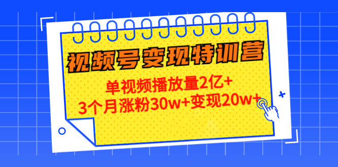 21天视频号变现特训营：单视频播放量2亿+3个月涨粉30w+变现20w+（第14期）-圆梦资源网