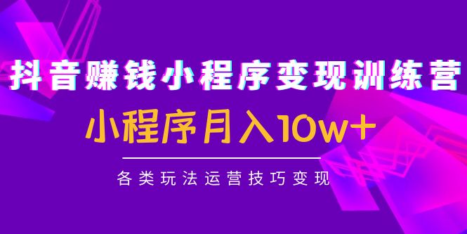 抖音赚钱小程序变现训练营：小程序月入10w+各类玩法运营技巧变现-圆梦资源网