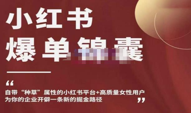 小红书爆单锦囊，自带种草属性+高质量女性用户，为你的企业开辟一条新的掘金路径-圆梦资源网