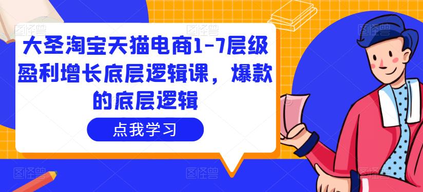 大圣淘宝天猫电商1-7层级盈利增长底层逻辑课，爆款的底层逻辑-圆梦资源网