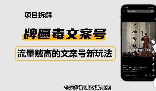 2023抖音快手毒文案新玩法，牌匾文案号，起号快易变现-圆梦资源网