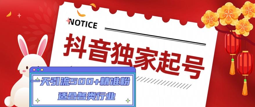抖音独家起号，一天引流500+精准粉，适合各类行业（9节视频课）-圆梦资源网