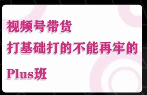 大播汇·视频号带货Puls班，视频号底层逻辑，起号自然流鱼塘等玩法-圆梦资源网