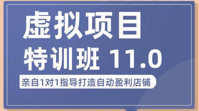 陆明明·虚拟项目特训班（10.0+11.0），0成本获取虚拟素材，0基础打造自动盈利店铺-圆梦资源网