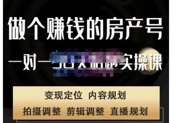 刘广标·同城房产号线上陪跑课，拍摄、剪辑、写文案、直播，做一个具有潜力价值的房产号-圆梦资源网