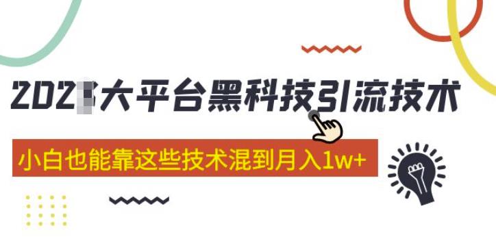 大平台黑科技引流技术，小白也能靠这些技术混到月入1w+(2022年的课程）-圆梦资源网