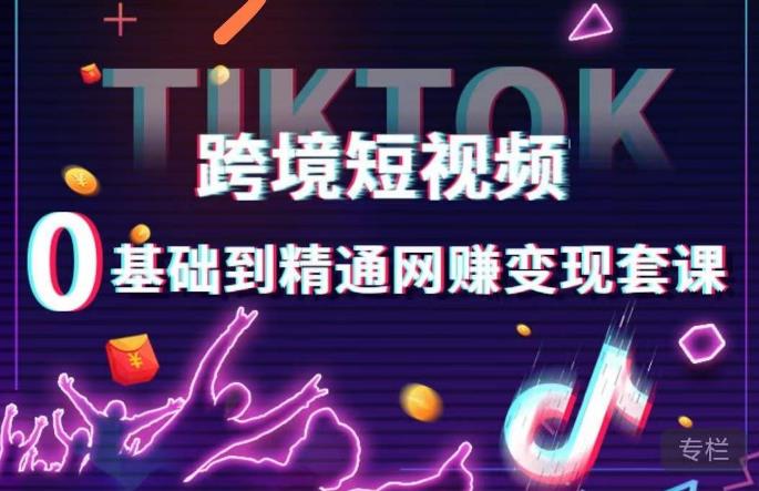 跨境短视频TIKTOK 0基础到精通网赚变现套课，跨境短视频独立站带货变现技巧-圆梦资源网