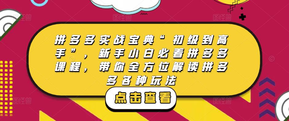拼多多实战宝典“初级到高手”，新手小白必看拼多多课程，带你全方位解读拼多多各种玩法-圆梦资源网