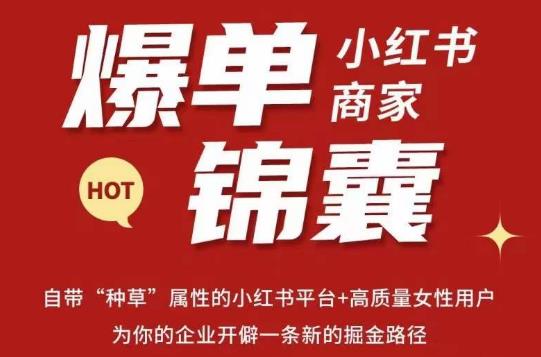 无畏·小红书商家爆单锦囊，掌握小红书各大规则，快速精准抢占行业和市场-圆梦资源网