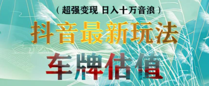 抖音最新无人直播变现直播车牌估值玩法项目，轻松日赚几百+【详细玩法教程】-圆梦资源网