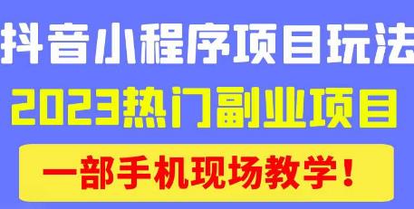 抖音小程序9.0新技巧，2023热门副业项目，动动手指轻松变现-圆梦资源网