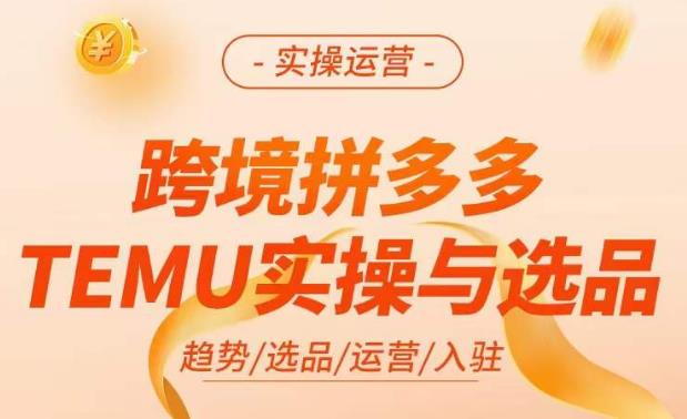 跨境拼多多TEMU实操与选品，​掌握平台运营方法技巧，选品避坑12条标准，爆款的底层思路等-圆梦资源网