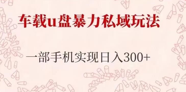 车载u盘暴力私域玩法，长期项目，仅需一部手机实现日入300+-圆梦资源网