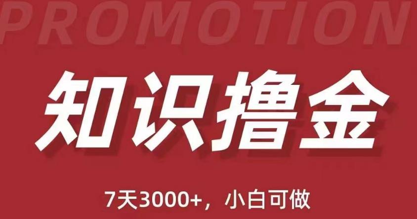 抖音知识撸金项目：简单粗暴日入1000+执行力强当天见收益(教程+资料)-圆梦资源网