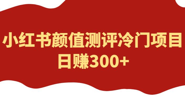 外面1980的项目，小红书颜值测评冷门项目，日赚300+【揭秘】-圆梦资源网