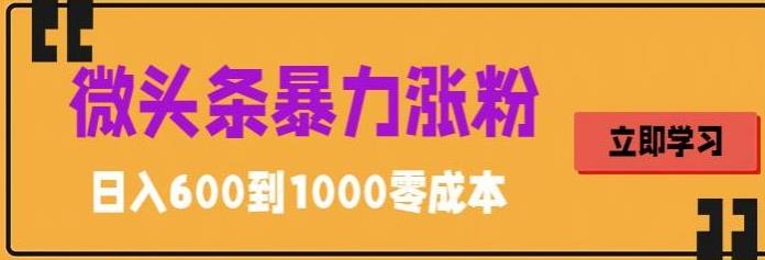微头条暴力涨粉技巧搬运文案就能涨几万粉丝，简单0成本，日赚600【揭秘】-圆梦资源网