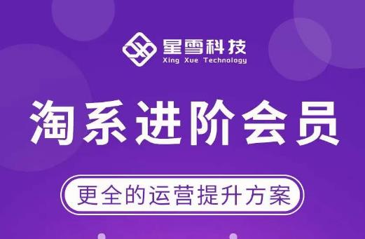 星雪·淘系进阶课程，快速提升突破技能流量瓶颈必备（更新2023年5月）-圆梦资源网