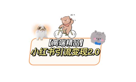 小红书最新引流变现教程，全网最新最详细的视频教程以及素材-圆梦资源网