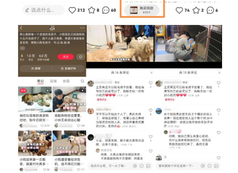 小红书蓝海类赛道：小动物打赏与购买变现副业项目，一条龙玩法分享给你！-圆梦资源网