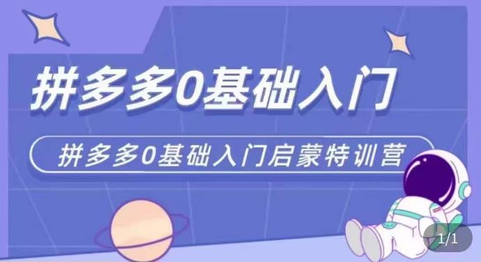 拼多多运营0-1实操特训营，拼多多0基础入门，从基础到进阶的可实操玩法-圆梦资源网