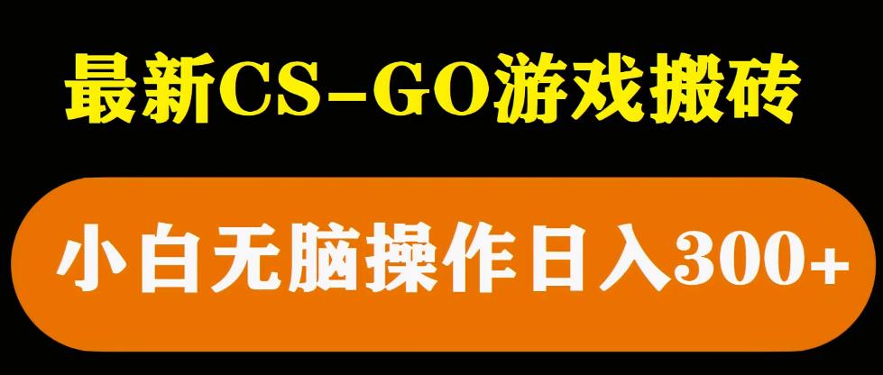 最新csgo游戏搬砖游戏，无需挂机小白无脑也能日入300+-圆梦资源网