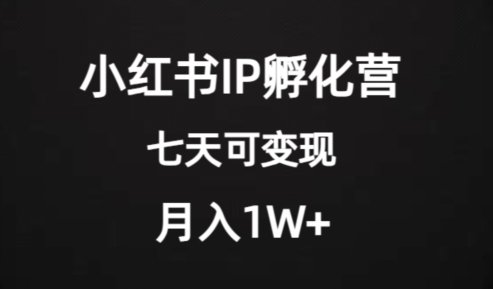 价值2000+的小红书IP孵化营项目，超级大蓝海，七天即可开始变现，稳定月入1W+-圆梦资源网