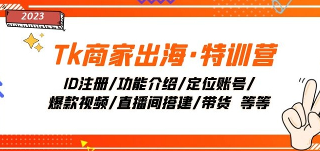 Tk商家出海·特训营：ID注册/功能介绍/定位账号/爆款视频/直播间搭建/带货-圆梦资源网