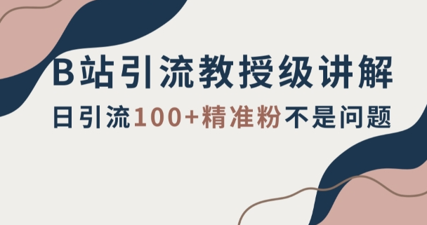 B站引流教授级讲解，细节满满，日引流100+精准粉不是问题【揭秘】-圆梦资源网