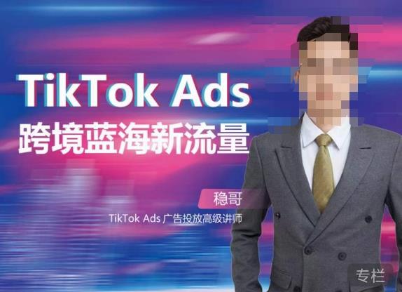 稳哥·如何投出高ROI的TikTok广告，开拓独立站卖家流量新蓝海-圆梦资源网