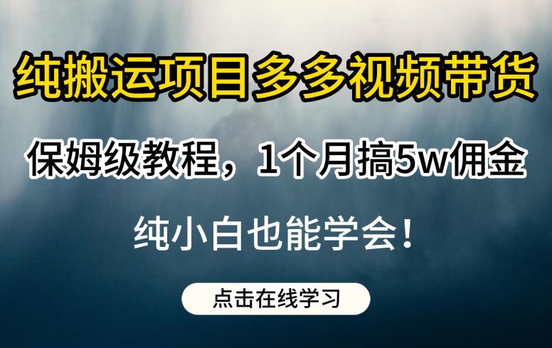 纯搬运项目多多视频带货保姆级教程，1个月搞5w佣金，纯小白也能学会【揭秘】-圆梦资源网