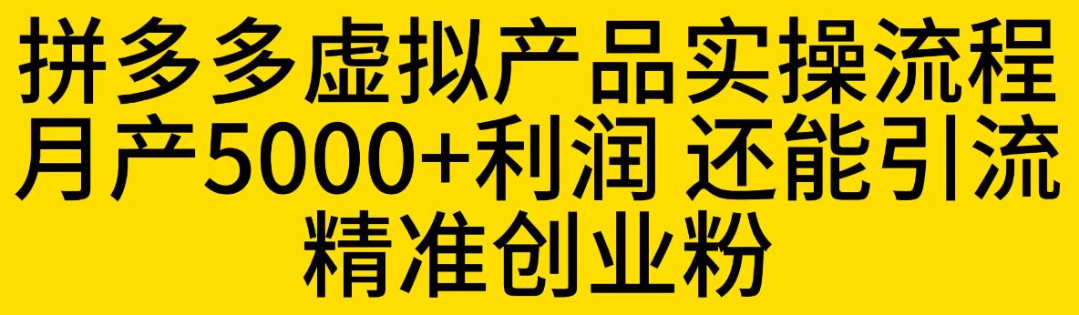 拼多多虚拟产品实操流程，月产5000+利润，还能引流精准创业粉【揭秘】-圆梦资源网