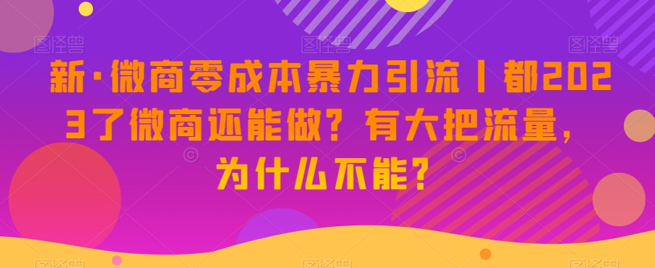 新·微商零成本暴力引流丨都2023了微商还能做？有大把流量，为什么不能？-圆梦资源网