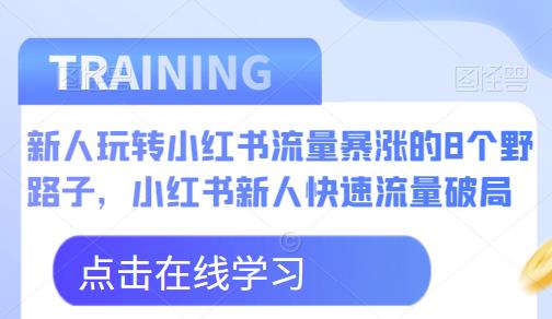 新人玩转小红书流量暴涨的8个野路子，小红书新人快速流量破局-圆梦资源网