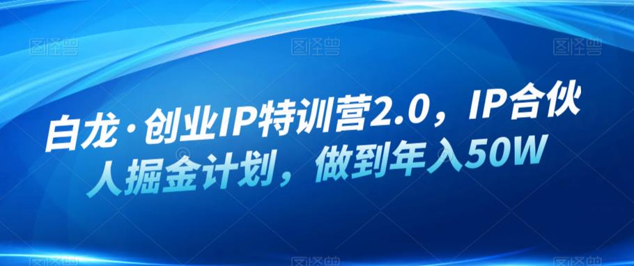白龙·创业IP特训营2.0，IP合伙人掘金计划，做到年入50W-圆梦资源网