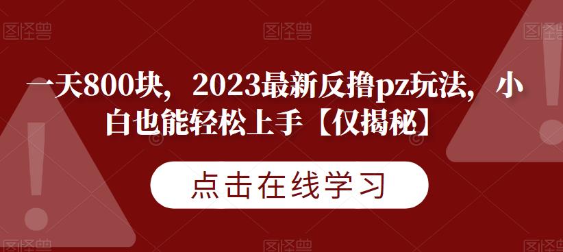 一天800块，2023最新反撸pz玩法，小白也能轻松上手【仅揭秘】-圆梦资源网