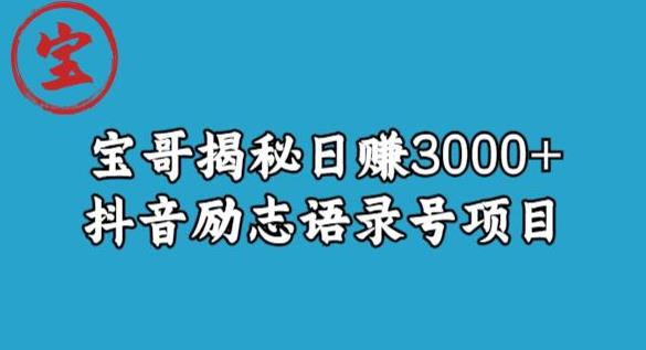 宝哥揭秘日赚3000+抖音励志语录号短视频变现项目-圆梦资源网