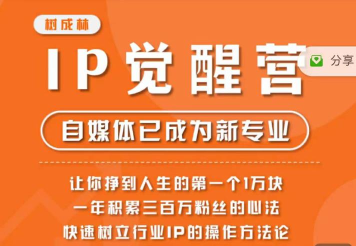 树成林·IP觉醒营，快速树立行业IP的操作方法论，让你赚到人生的第一个1万块（更新）-圆梦资源网