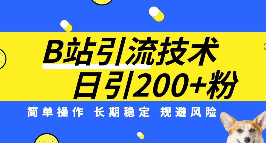 B站引流技术：每天引流200精准粉，简单操作，长期稳定，规避风险-圆梦资源网