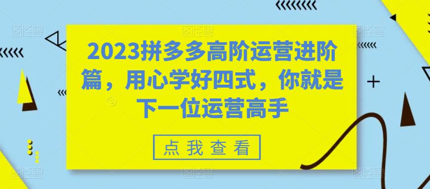 2023拼多多高阶运营进阶篇，用心学好四式，你就是下一位运营高手-圆梦资源网