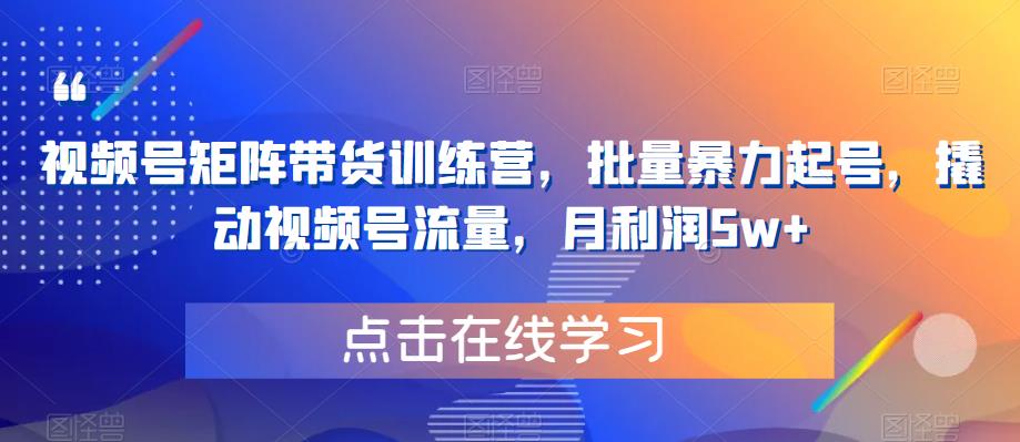 视频号矩阵带货训练营，批量暴力起号，撬动视频号流量，月利润5w+-圆梦资源网