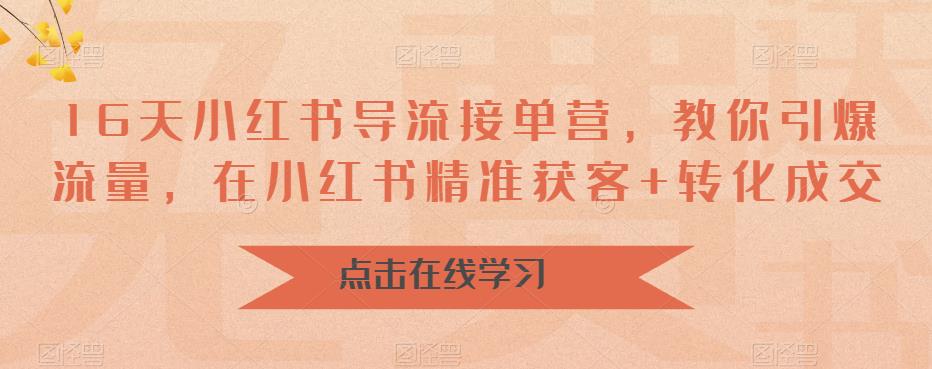 16天小红书导流接单营，教你引爆流量，在小红书精准获客+转化成交-圆梦资源网