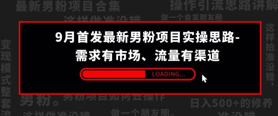 9月首发最新男粉项目实操思路-需求有市场，流量有渠道【揭秘】-圆梦资源网