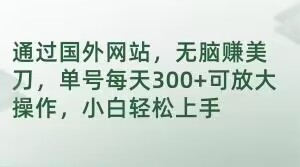 通过国外网站，无脑赚美刀，单号每天300+可放大操作，小白轻松上手【揭秘】-圆梦资源网