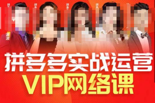 推易拼多多VIP全套直播课程，拼多多店铺实操玩法+实战玩法选款内功+直通车高阶等-圆梦资源网