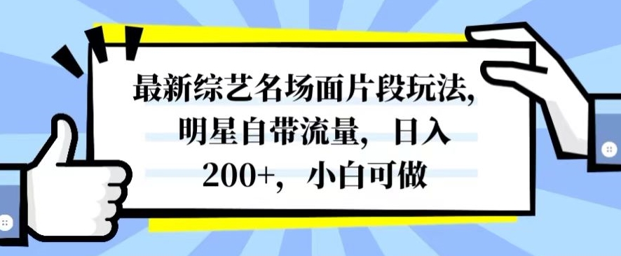 最新综艺名场面片段玩法，明星自带流量，日入200+，小白可做【揭秘】-圆梦资源网