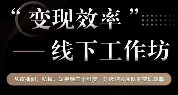 变现效率线下工作坊，从‮播直‬间、私域、‮视短‬频‮个三‬维度，升级IP和团队变现效率-圆梦资源网