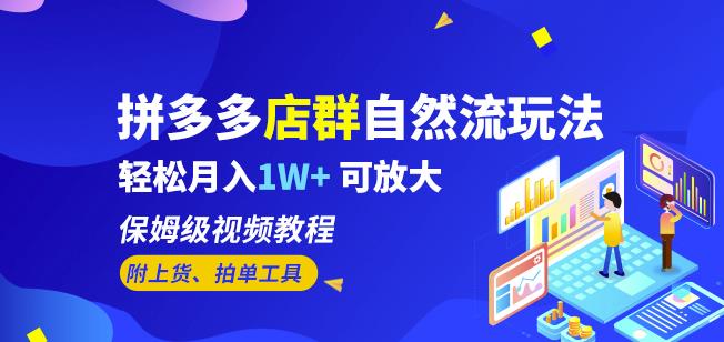 拼多多店群自然流玩法，轻松月入1W+保姆级视频教程（附上货、拍单工具）-圆梦资源网