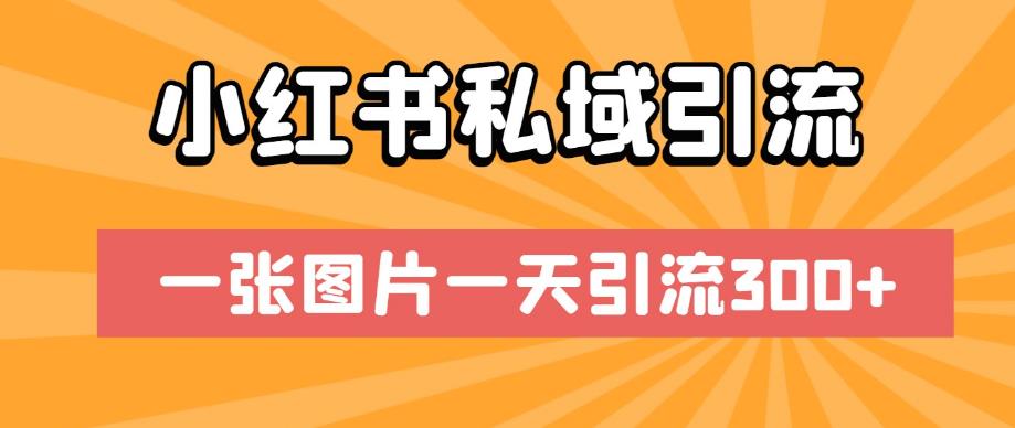 小红书私域引流，一张图片一天引流300+【揭秘】-圆梦资源网