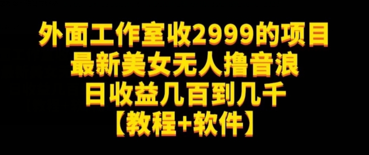 外面工作室收2999的项目最新美女无人撸音浪日收益几百到几千【教程+软件】（仅揭秘）-圆梦资源网