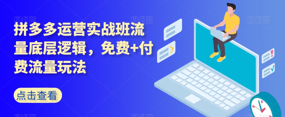 拼多多运营实战班流量底层逻辑，免费+付费流量玩法-圆梦资源网